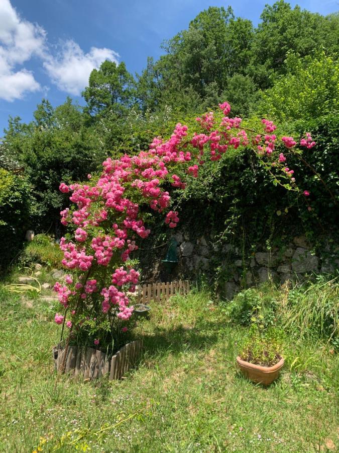 קסטלאנטה La Moutiere Maison De Vacances מראה חיצוני תמונה